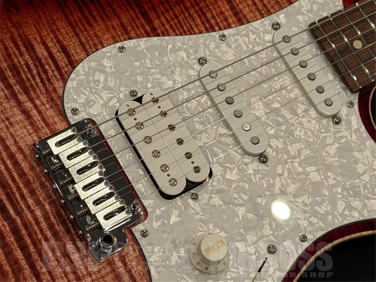 Suhr Standard Plus Matching Head / Faded Trans Wine Red