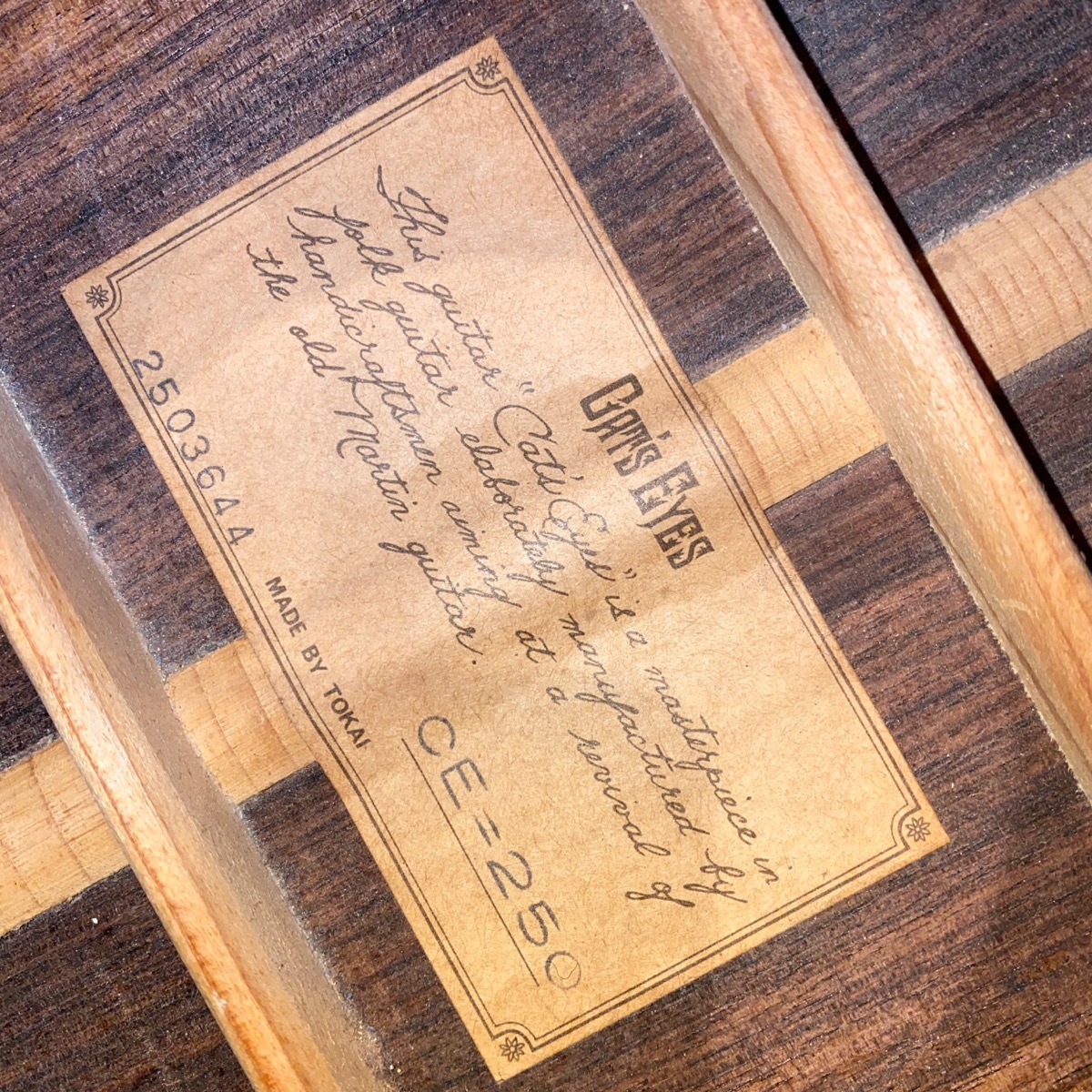 Tokai Cat's Eyes CE-250 Acoustic Guitar（中古/送料無料