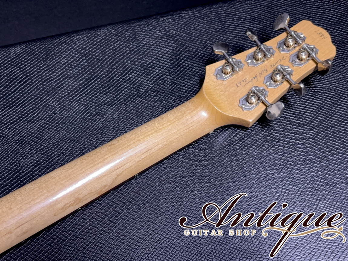 Asher Guitars Master Series T Deluxe Violin Burst /T-Swamp