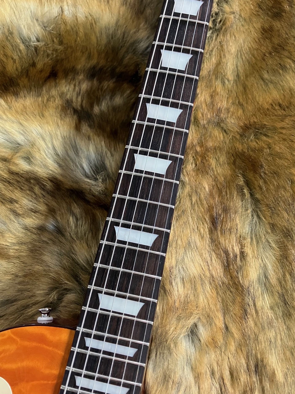 Tokai LS-101QZ TK【清水巴町本店】（新品特価）【楽器検索デジマート】