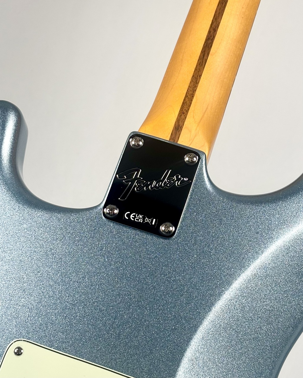 Fender 【クロサワ楽器限定モデル】LTD American Professional Classic