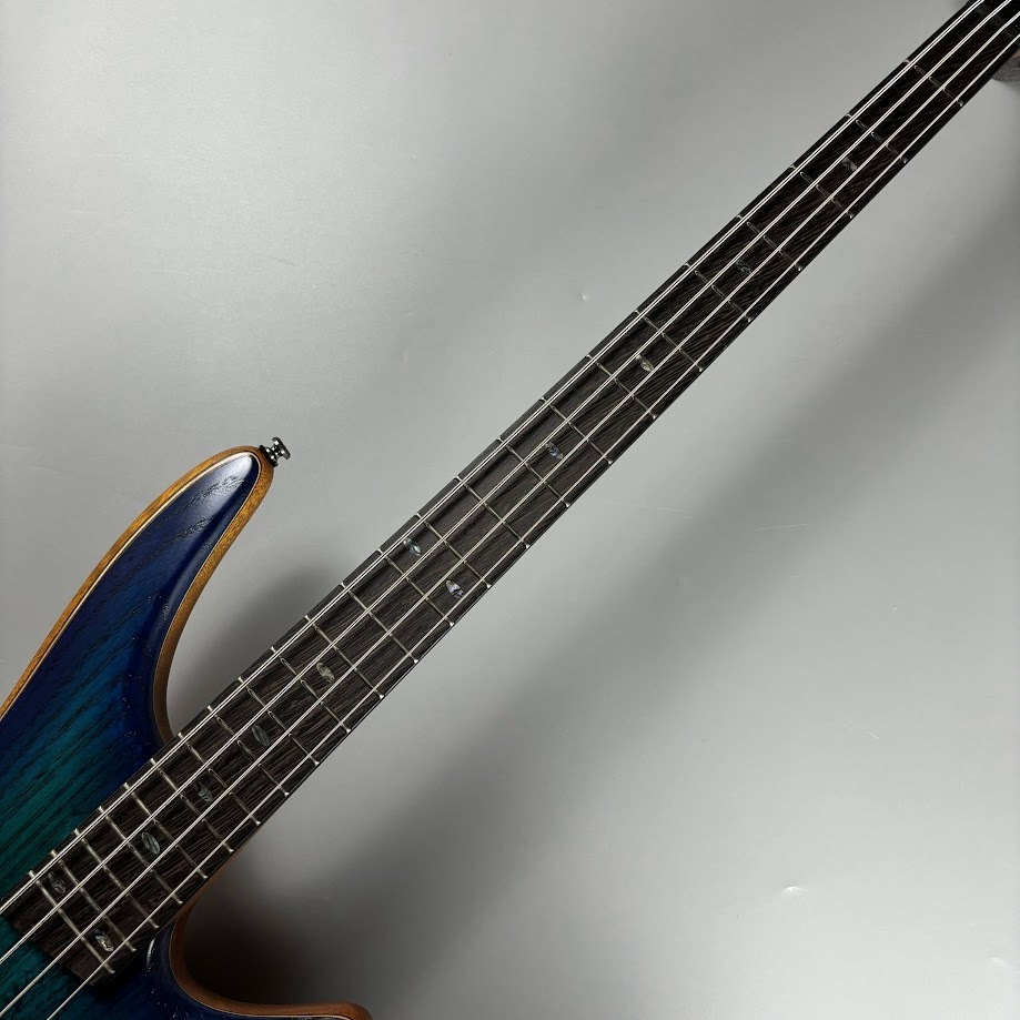 Ibanez SDGR SR 350エレクトリックベース、24フレット +ケース Ibanez SDGR SR 350エレクトリックベース、24フレット +ケース