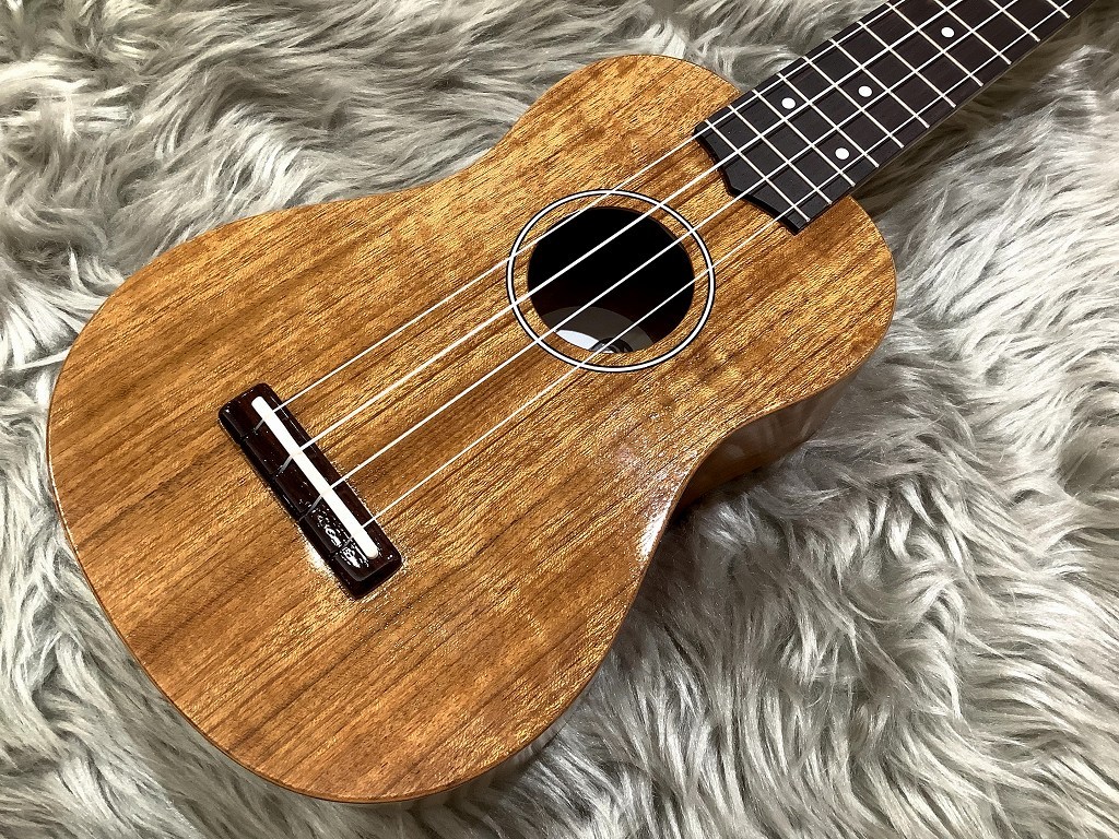 COTONE ウクレレ 値下げ中！