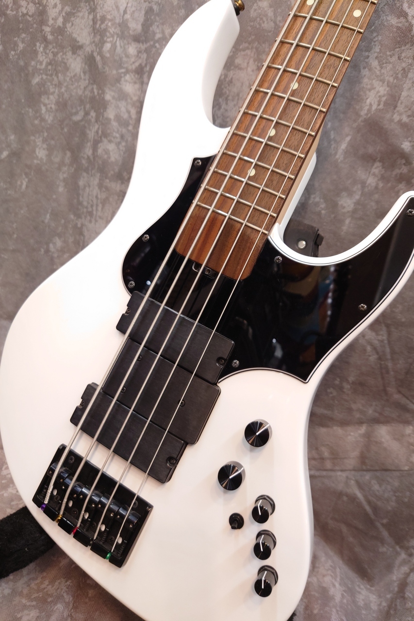 ベース EDWARDS EAMAZE-5-190IKUO ESP AMAZE-5-190のコンセプトを受け継いだ、EDWARDS Platinum E