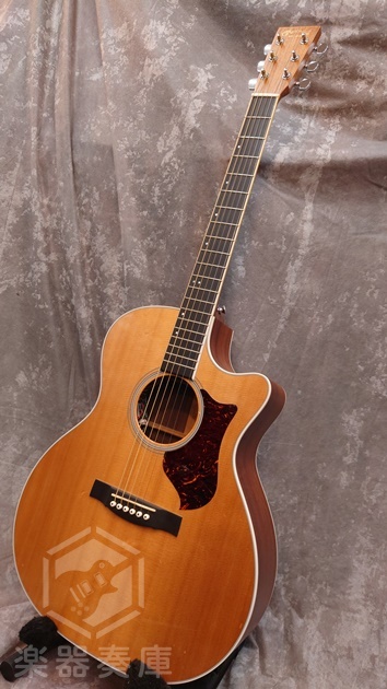 Martin GPCPA3（中古）【楽器検索デジマート】