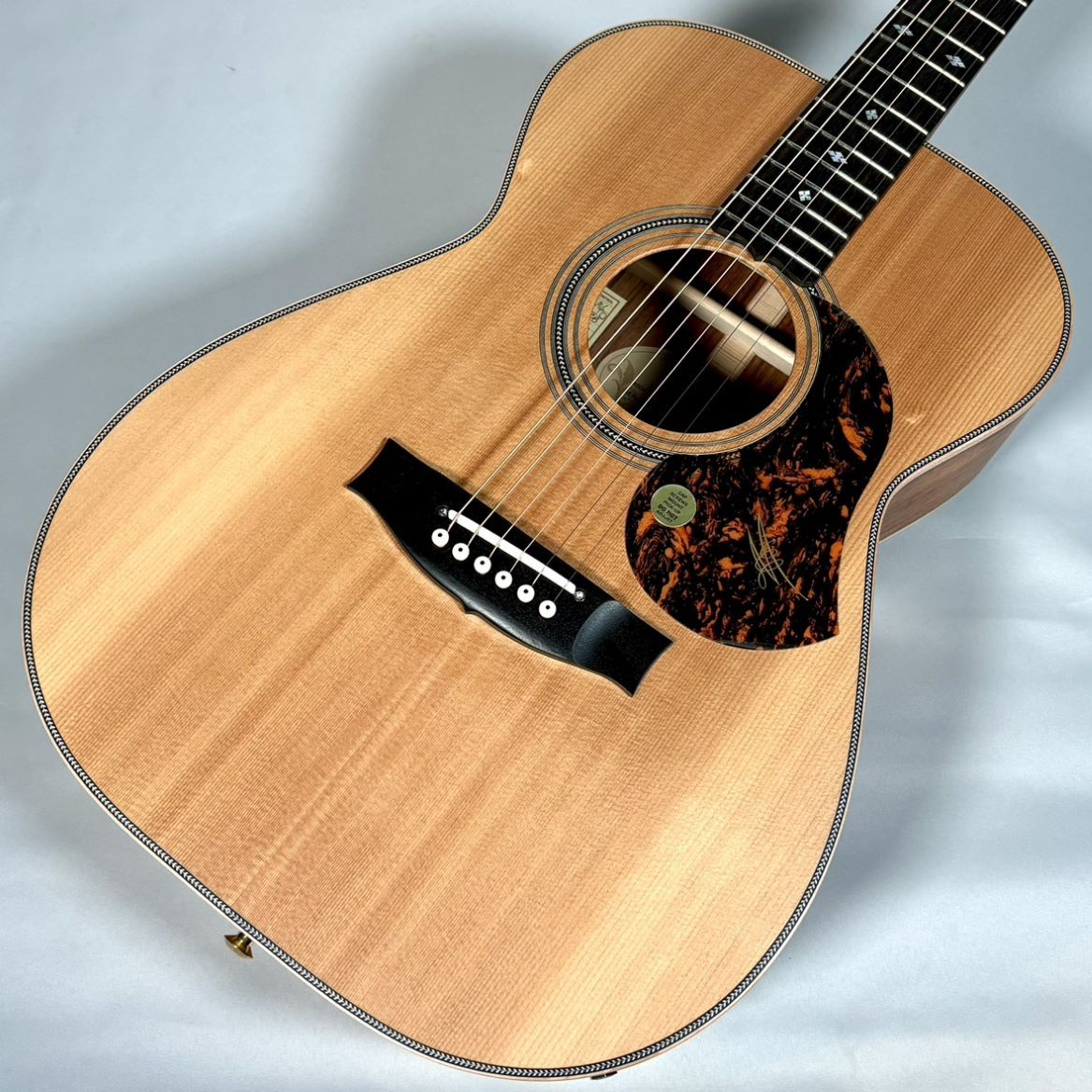 MATON EBG808 ARTIST【現物画像】（新品/送料無料）【楽器検索