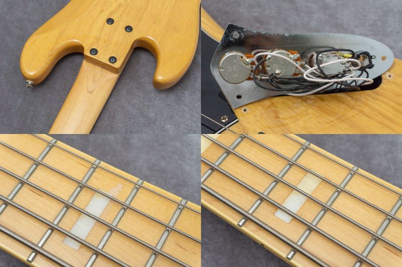 FUJIGEN(FGN) NJB10MBAHV VNT 2019 4.19kg #I190770【GIB兵庫