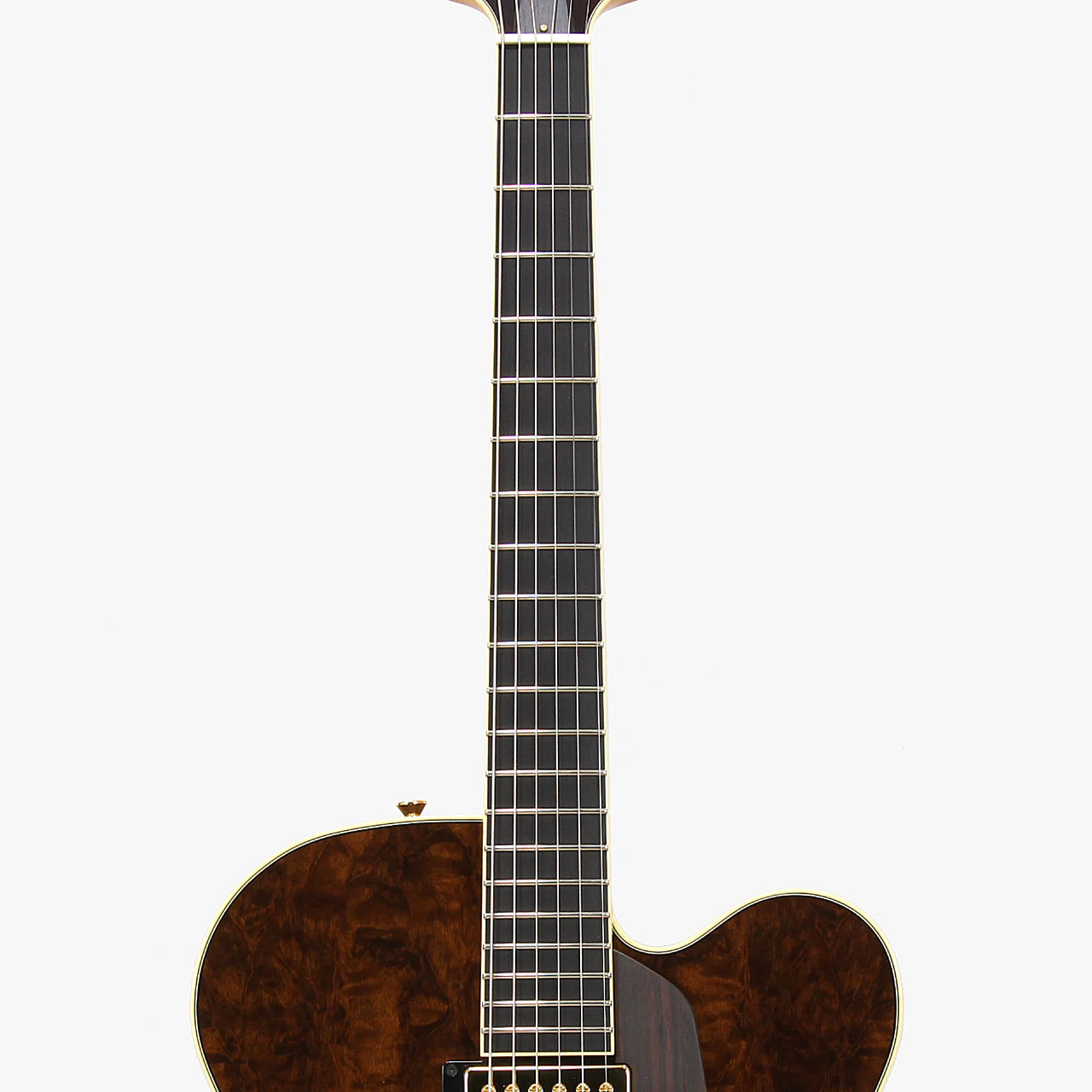 Kikuchi Guitars JF16 / Imbuia Burl【2025 Limited Model】（新品