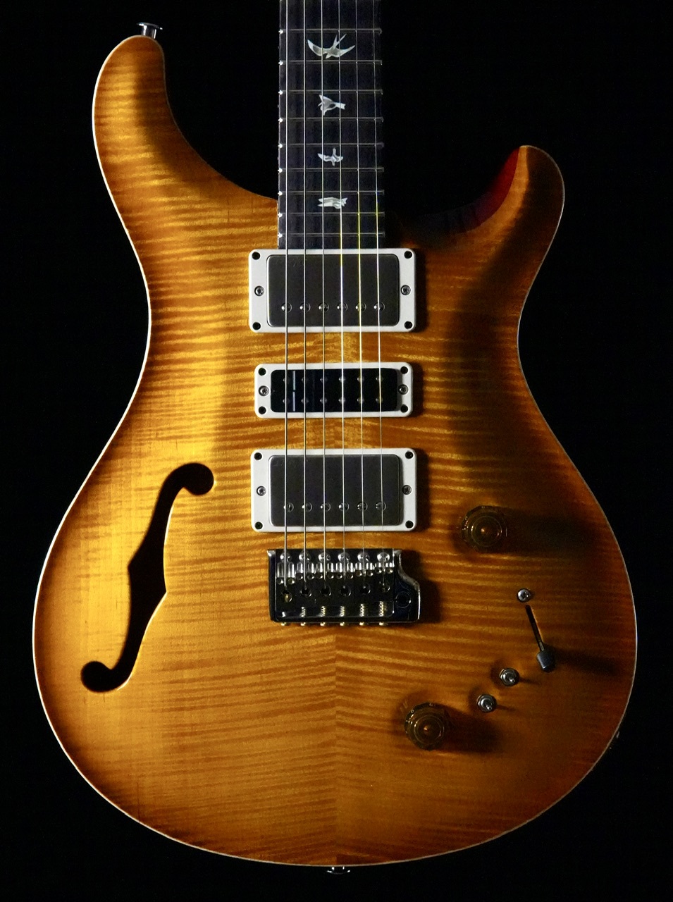 Paul Reed Smith(PRS) Special Semi Hollow