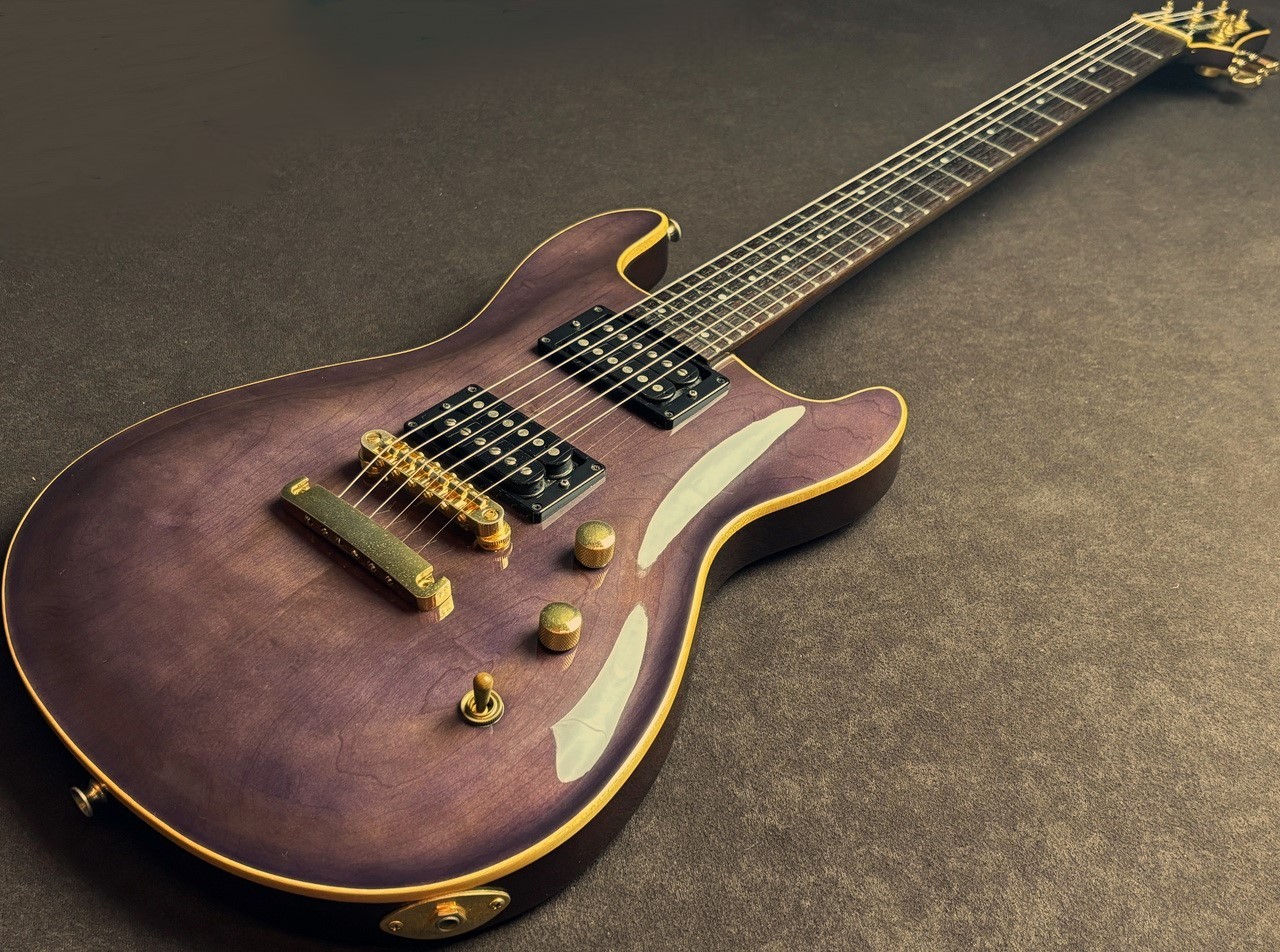FERNANDES APG-100 SBL（中古）【楽器検索デジマート】