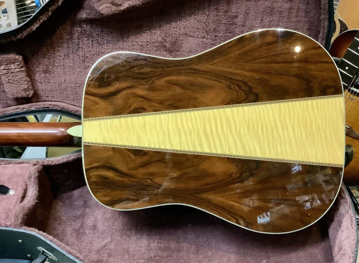 MORRIS W-50 モリス W-50 ハカランダ Morris W-50 - guitarshoptantan （ギターショップタンタン）