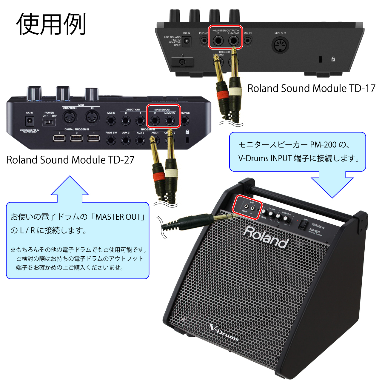 Roland PM-200 [Personal Monitor]【ケーブル付き アウトレット特価