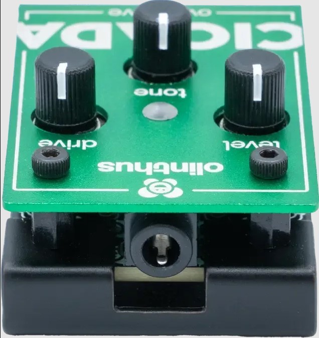 Olinthus CICADA オーバードライブ【国内正規品】【渋谷店】（新品