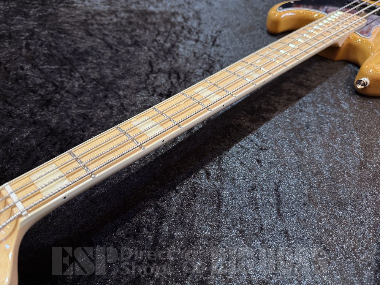 FUJIGEN(FGN) NJB100MBAH【Vintage Natural】（新品/送料無料