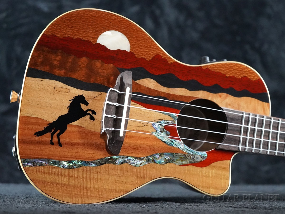 Luna Guitars 【数量限定!】Vista Stallion Concert Uke w/Preamp