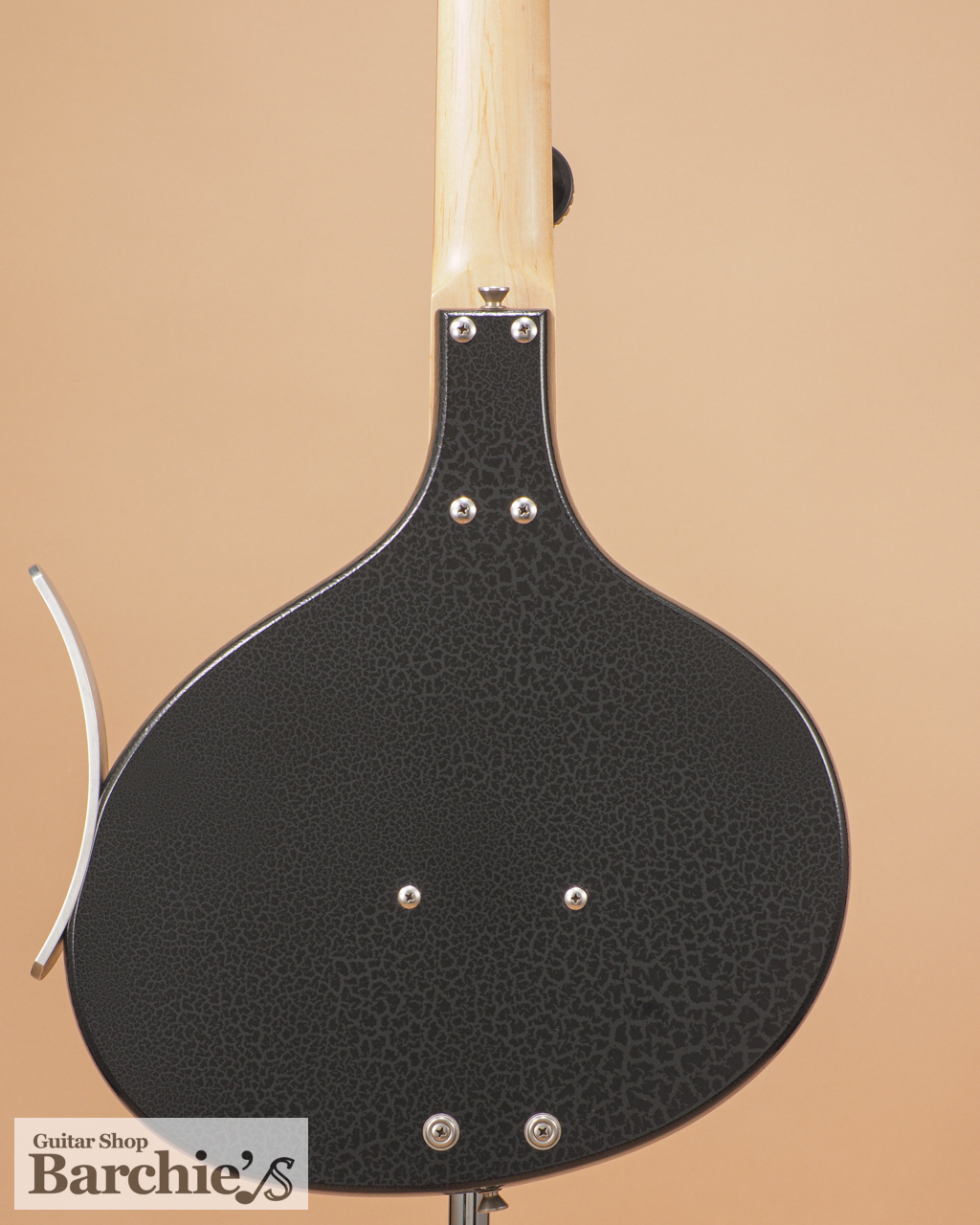 Jerry Jones Baby Sitar（中古）【楽器検索デジマート】