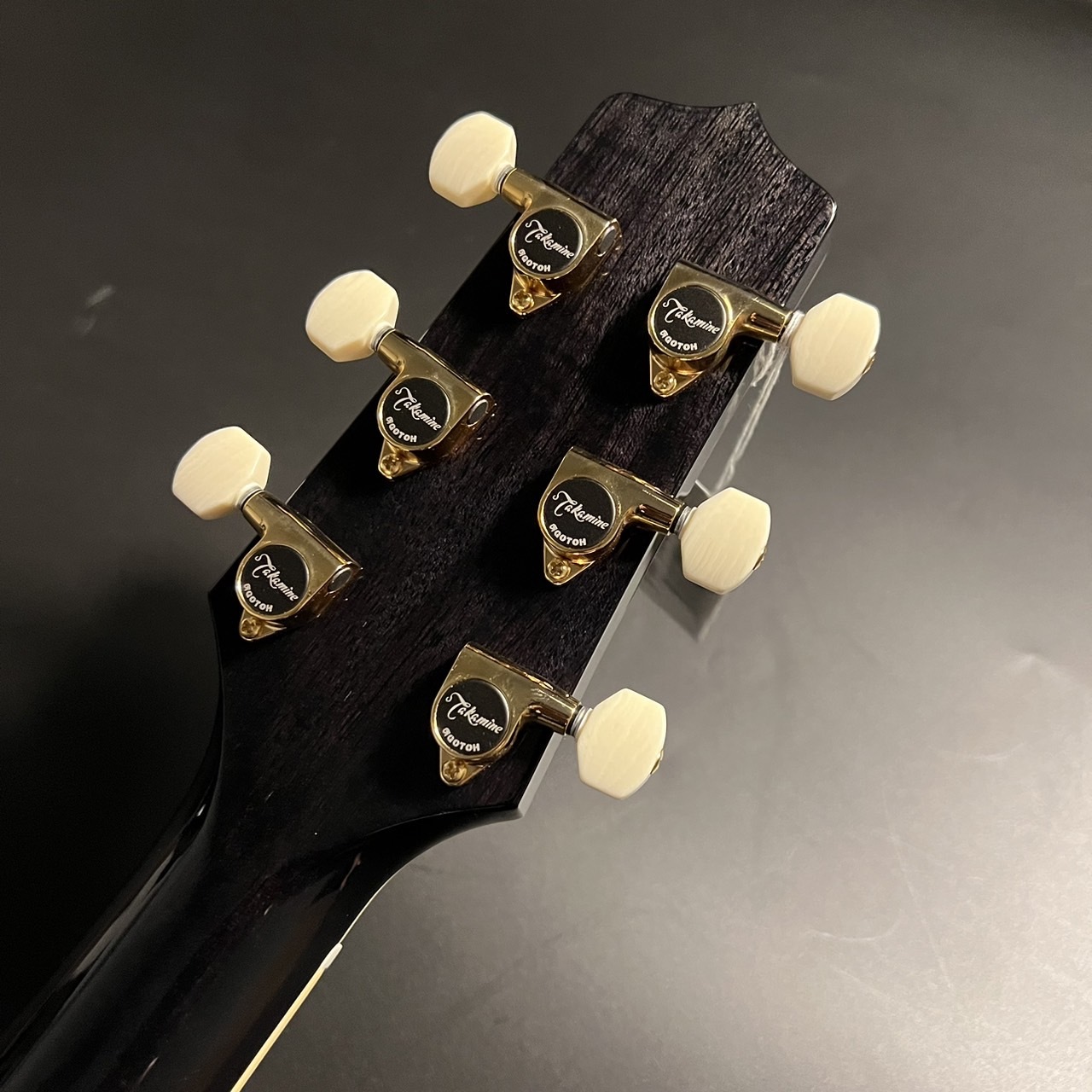 Takamine TSP10CS エレアコ アコースティックギター 630mmスケール