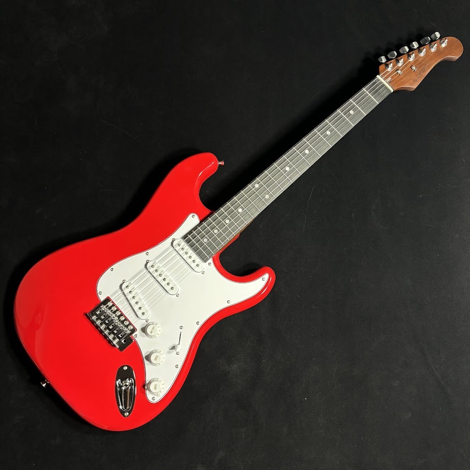 ☆新機能満載　3つのピックアップを多彩に組合せできるBUSKERS ST ☆新機能満載 3つのピックアップを多彩に組合せできるBUSKERS ST