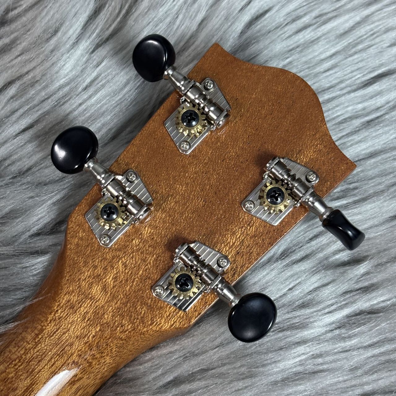 COTONE CS5C（中古/送料無料）【楽器検索デジマート】