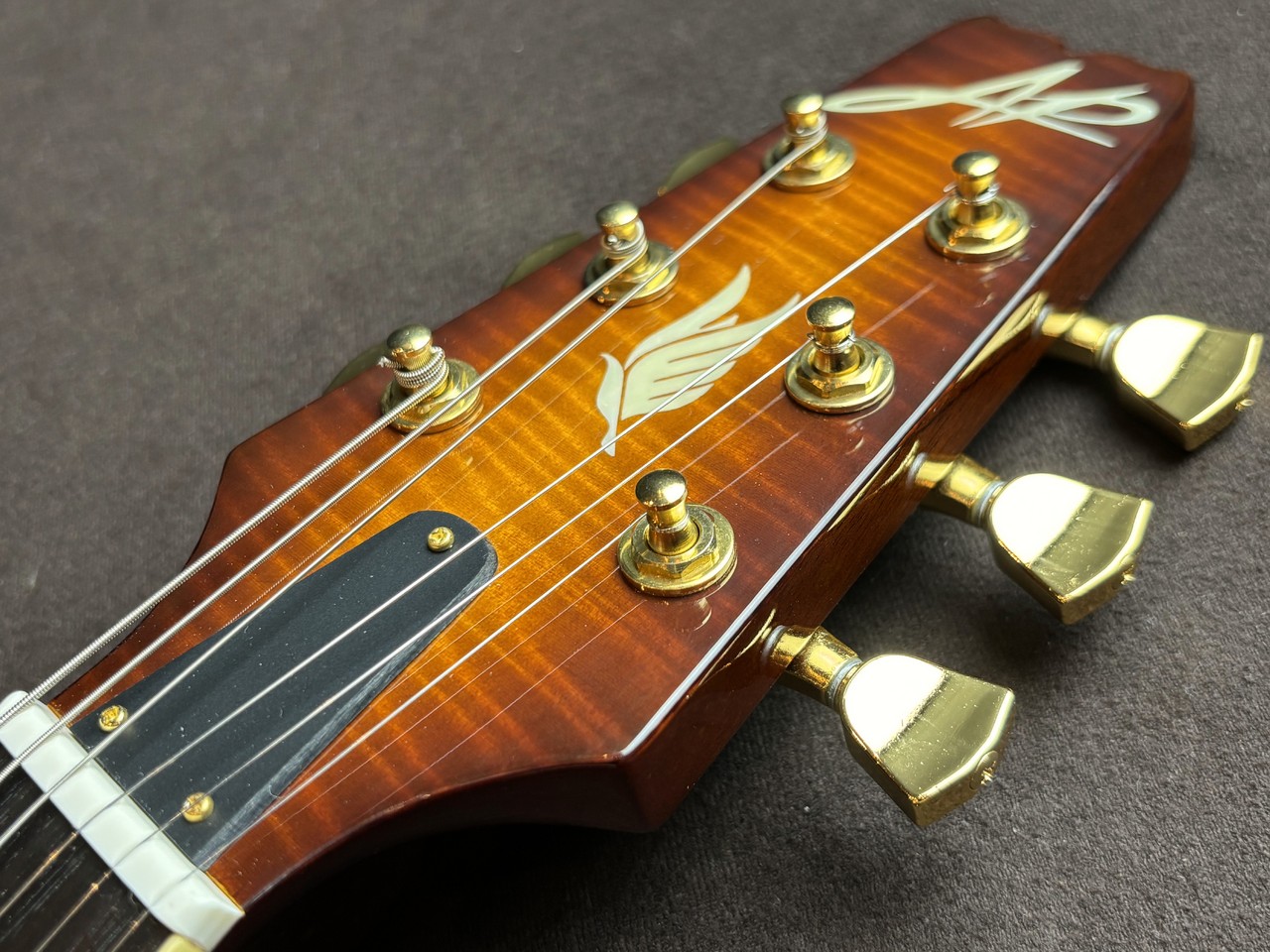 Aria Custom Pro - 希少 AP Shop SHOP II pro エレアコ AET-70 ケース