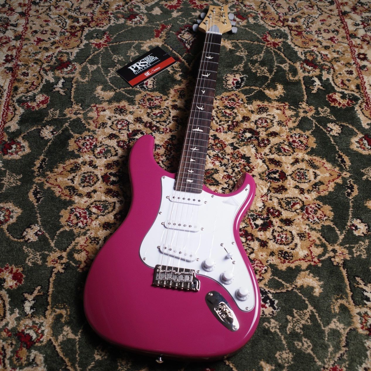 Paul Reed Smith(PRS) SE Silver Sky Dragon Fruit（新品/送料無料