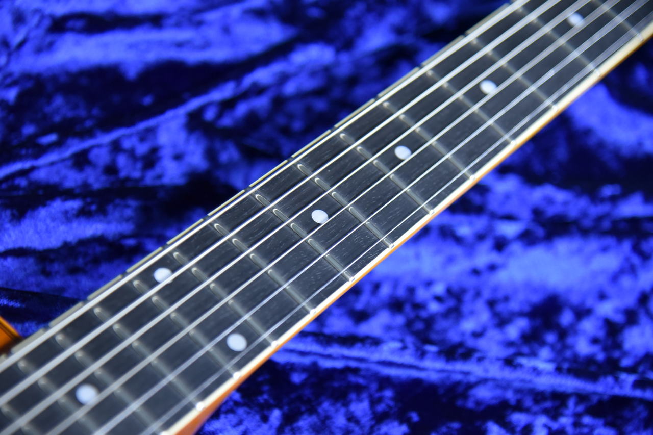 Aria Pro II FA-1000 VLB ウエイト2.71キロ（新品特価）【楽器