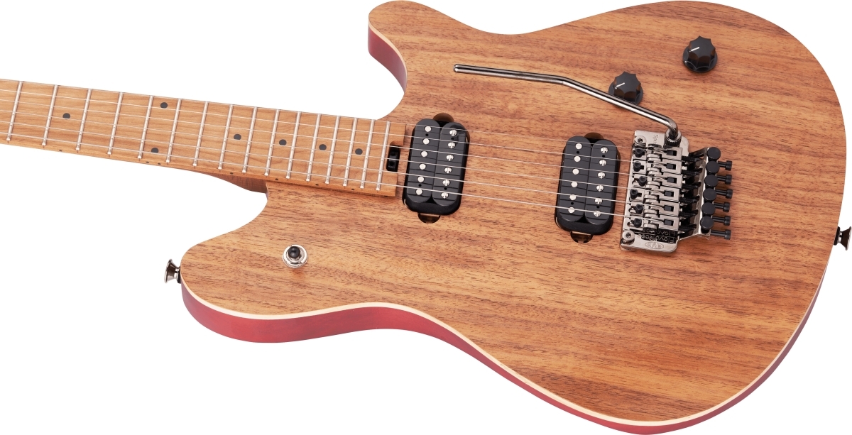 EVH Wolfgang WG Standard Exotic Koa イーブイエイチ【WEBSHOP