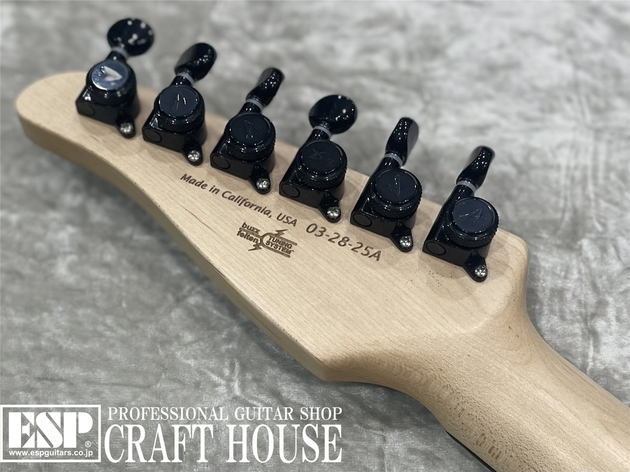 TOM ANDERSON The Classic（新品/送料無料）【楽器検索デジマート】