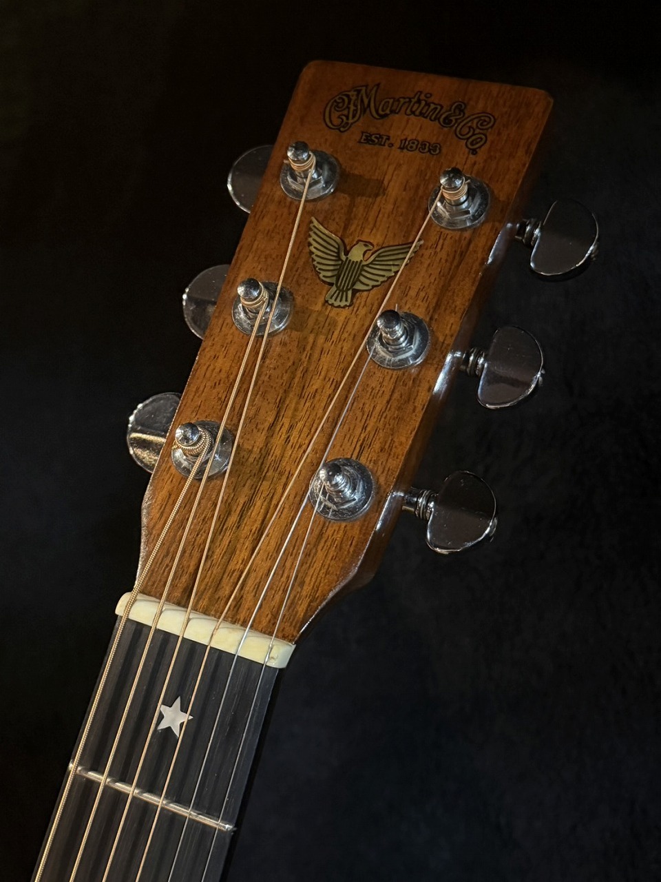 Martin 【Vintage】 Martin D-76 【1976年製】【試奏動画あり