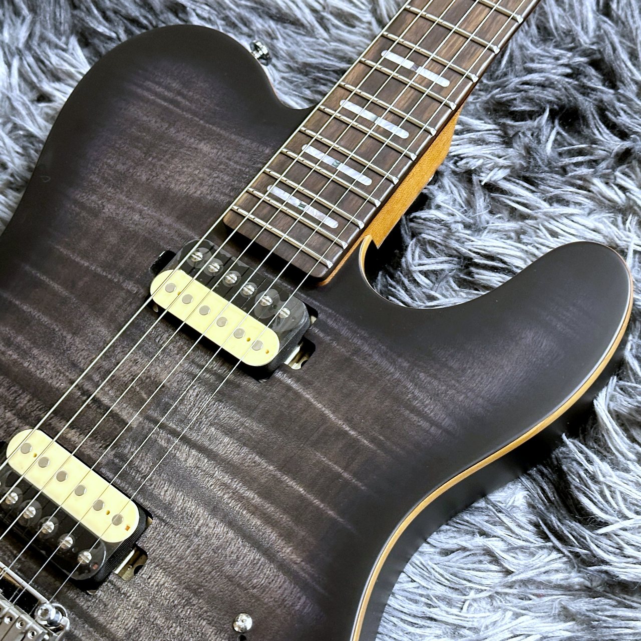 Sire Larry Carlton T7 FM New Gen TBK (Transparent Black)【ラリー