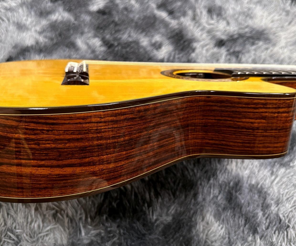 K.Yairi CE-3 NS -Nylon Electric Series-（新品/送料無料）【楽器検索