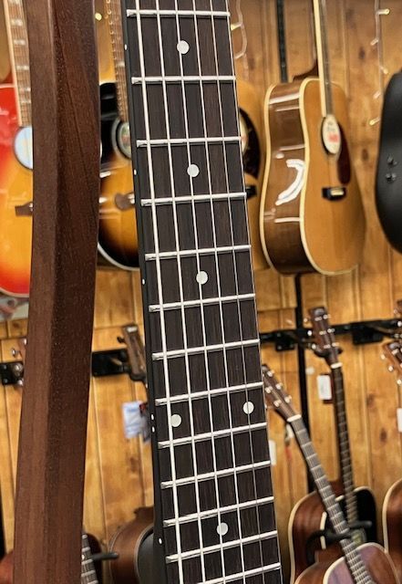 Gold Toneエレキバンジョー Gold Toneエレキバンジョー