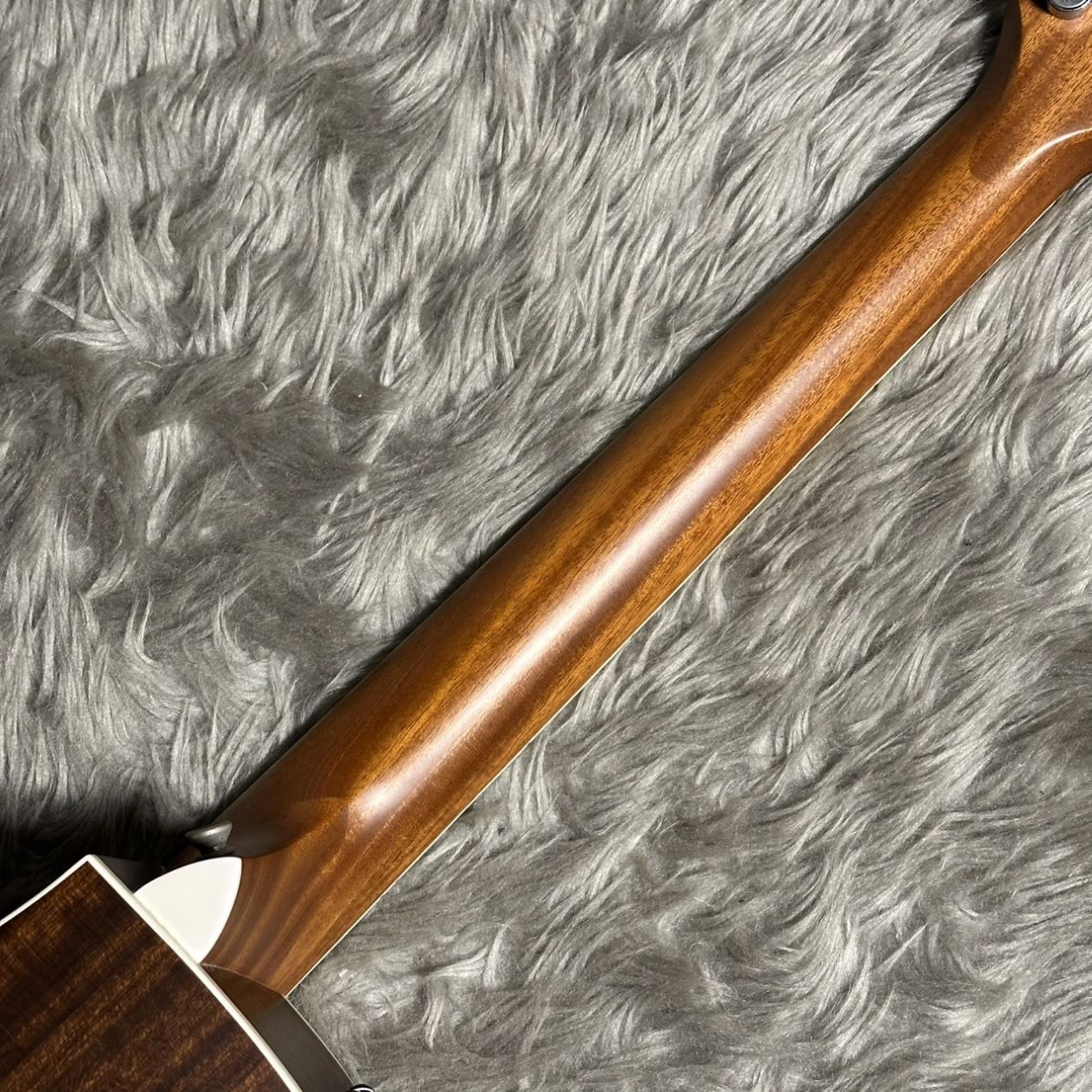 Taylor 416ce エレアコ【現物画像】【即納可能！】（中古/送料無料