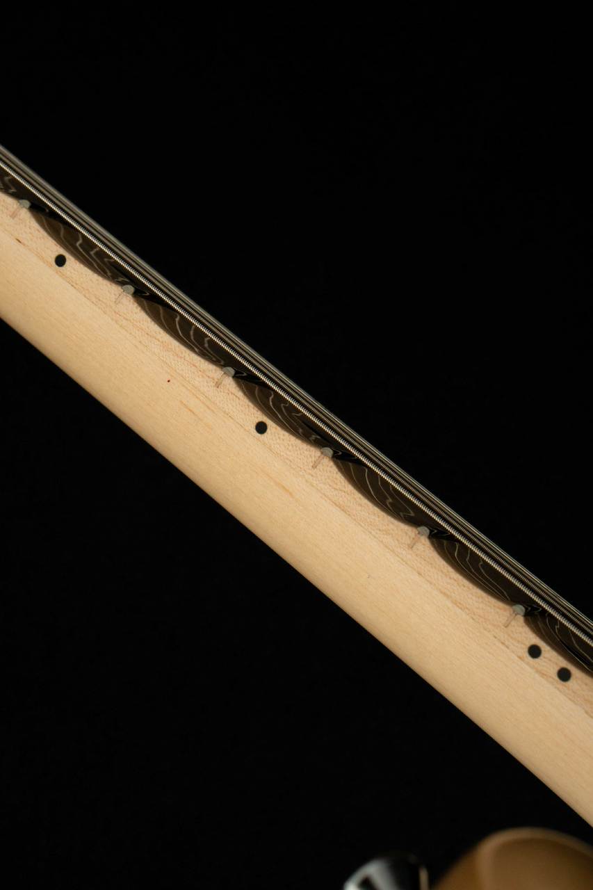 SCHECTER PS-ST-DH-SC-AS -Natural- #S2506046 【スキャロップ指板