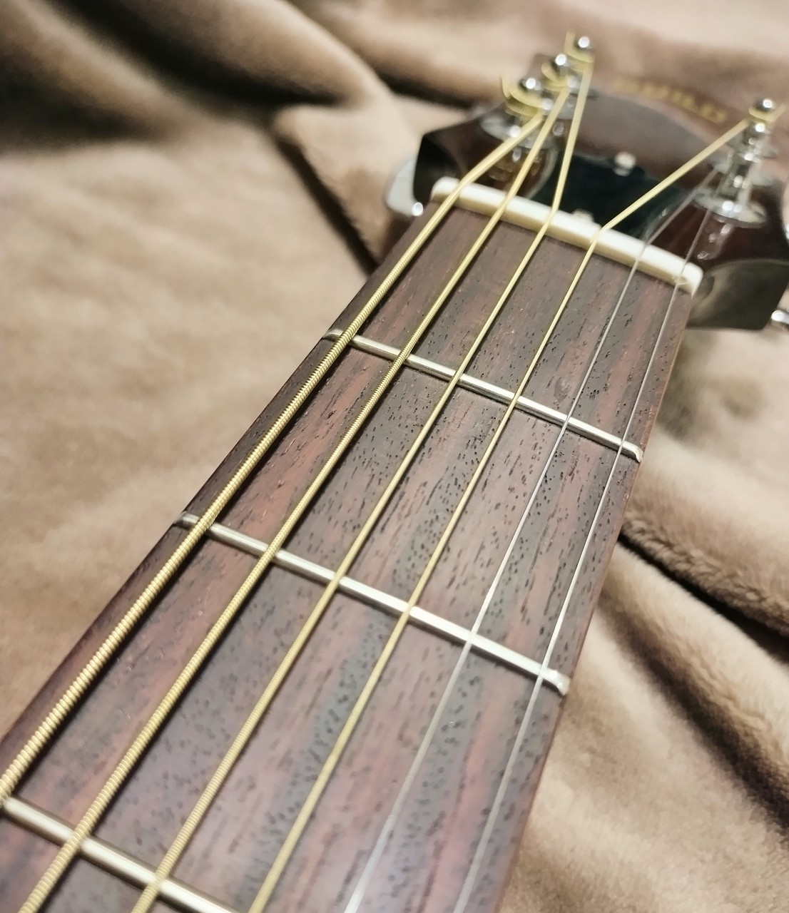 GUILD F-20（ビンテージ/送料無料）【楽器検索デジマート】