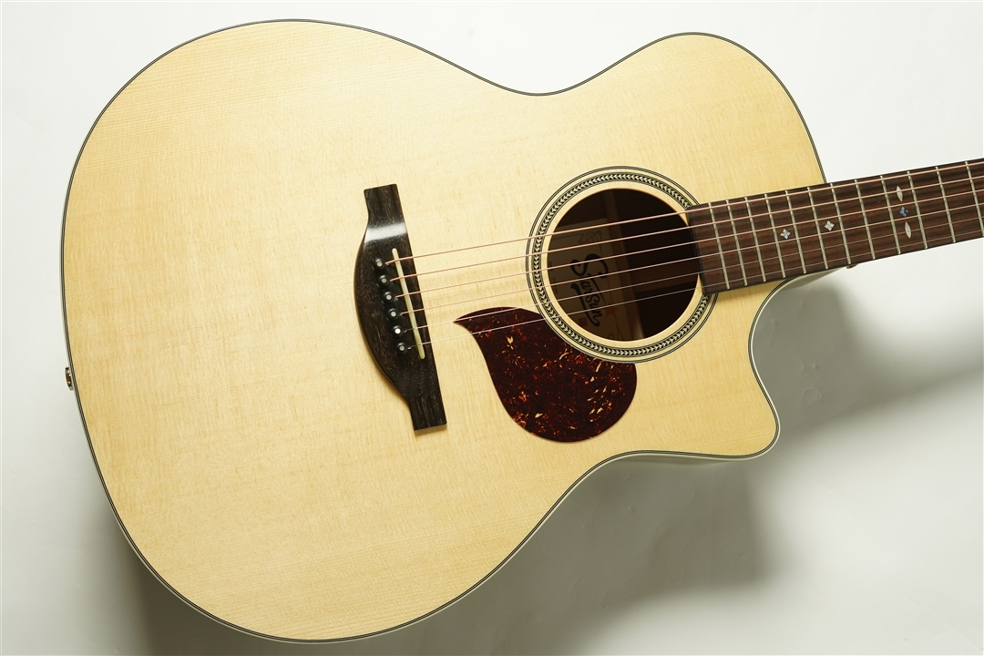 Starsun F120-GA Sitka Spruce / African Mahogany（新品/送料無料