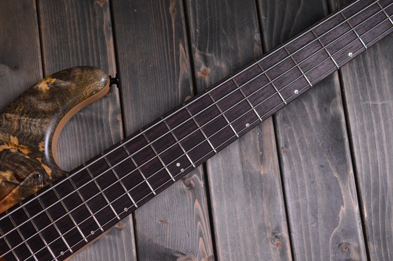 Wood Custom Guitars Vibe-5 19 Picth Buckeye Burl Top（新品/送料