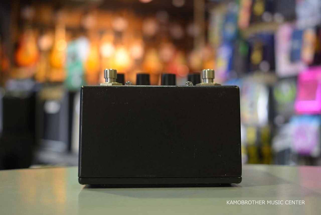 CARL MARTIN Delayla エフェクター Carl Martin DeLayla XL Delay Echo Pedal | Vision Guitar