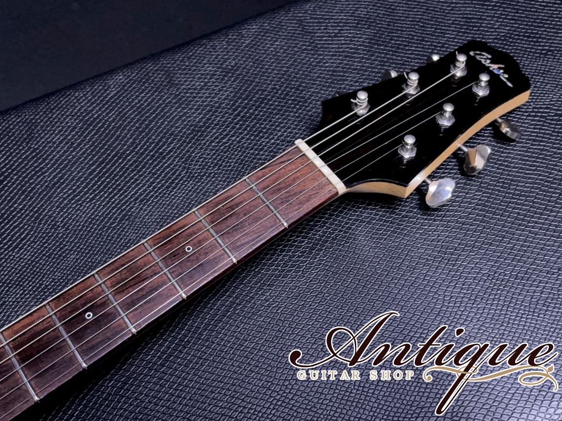 Asher Guitars Master Series T Deluxe Violin Burst /T-Swamp