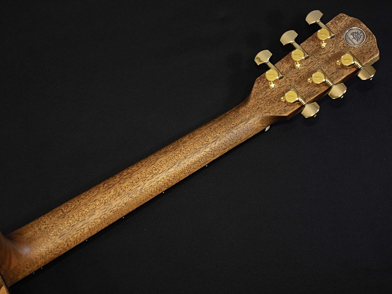 Morris S-JF SEN / Japan Forest Series - Crafted from Japanese Tone