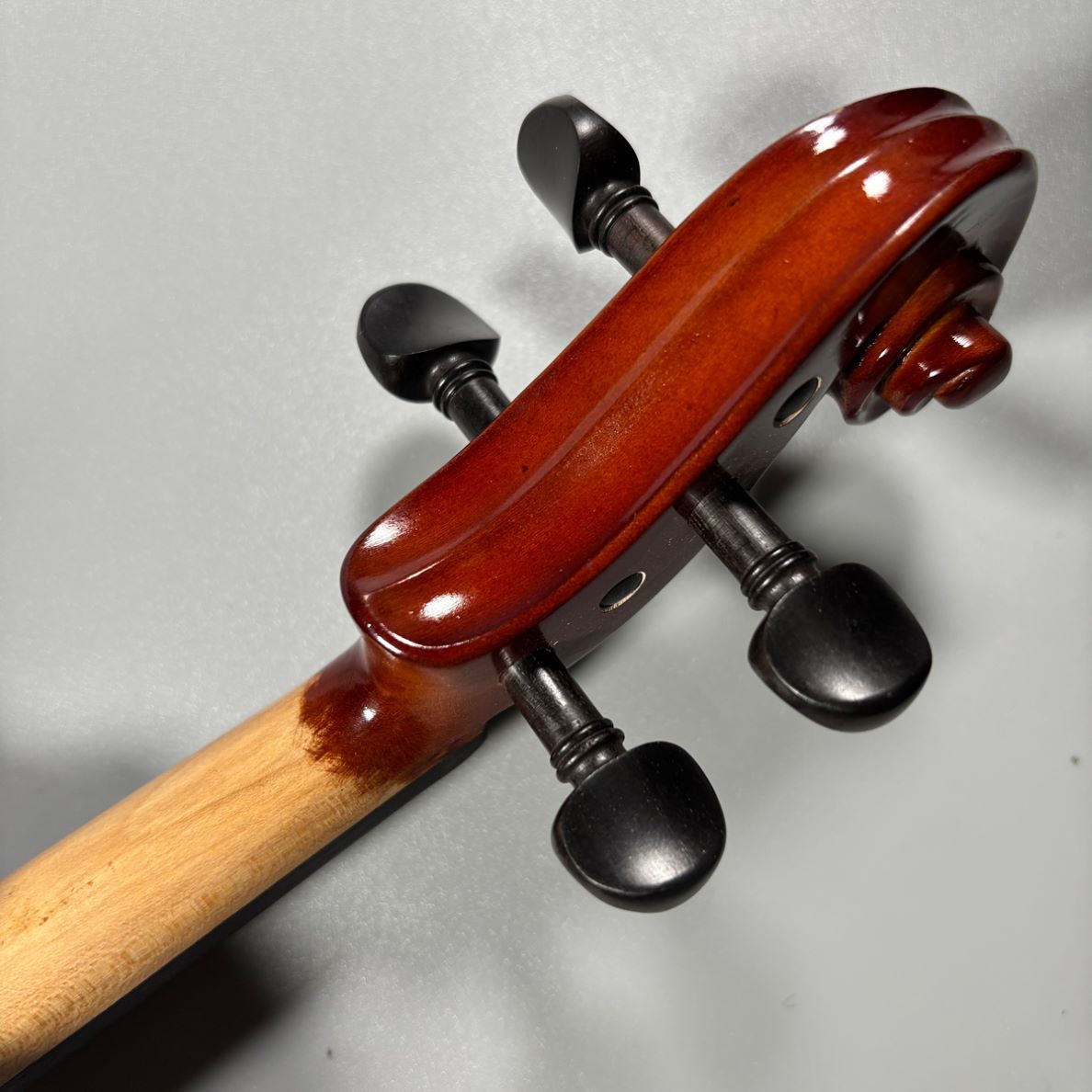 Carlo Giordano VS-1W 1/8 バイオリンセット（B級特価/送料無料