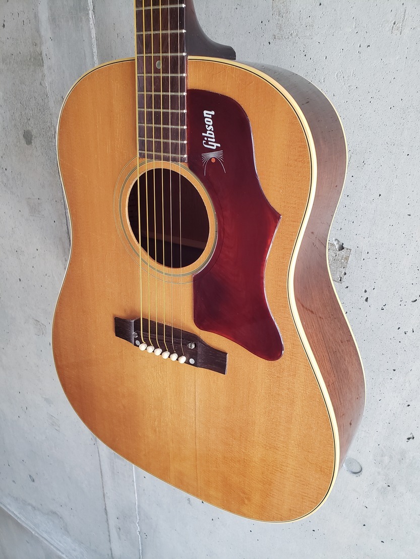 gibson J-50 1968年 ピックガード ビンテージ - 楽器、器材