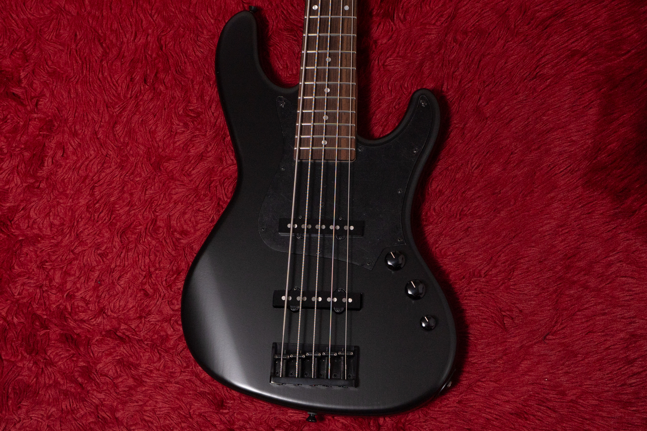 FREEDOM CUSTOM GUITAR RESEARCH C.S. Anthra 5st SDB MH 4.400kg