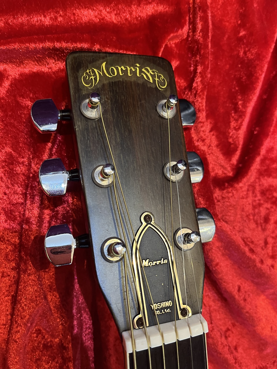 Morris SPECIAL（中古）【楽器検索デジマート】