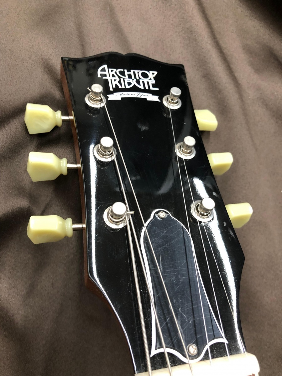 海外限定】 Archtop tribute AT102M ビグスビー付 フル