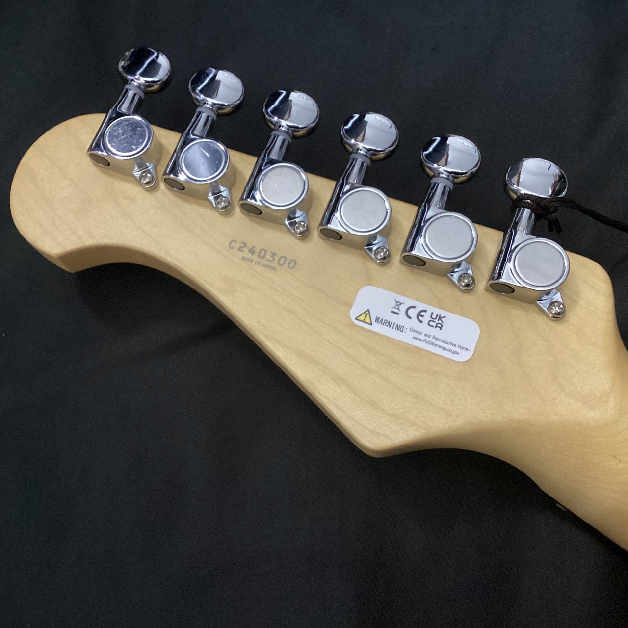 FUJIGEN(FGN) BCTE100(フジゲン テレキャスター)（新品）【楽器検索