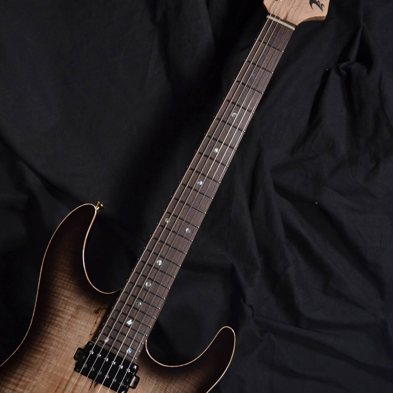 T's Guitars DST-Pro24CTM/5A Spalted Flame Maple Top/Bird's Eye