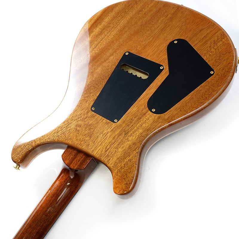 Paul Reed Smith(PRS) Ikebe Original Wood Library Custom24 McCarty