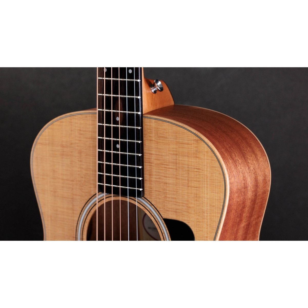 Taylor GS Mini S [単板トリファイドスプルーストップ] [定番