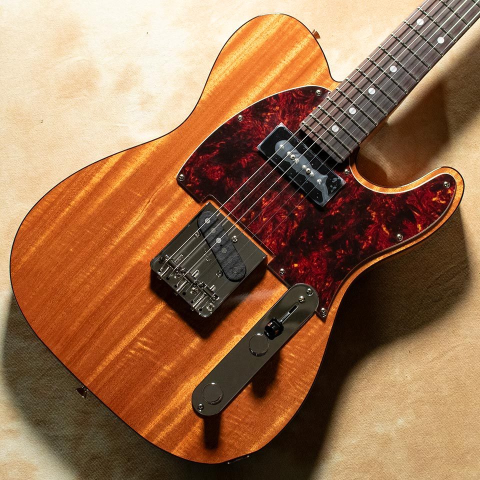 Tokai ATE-103S N/R（新品/送料無料）【楽器検索デジマート】